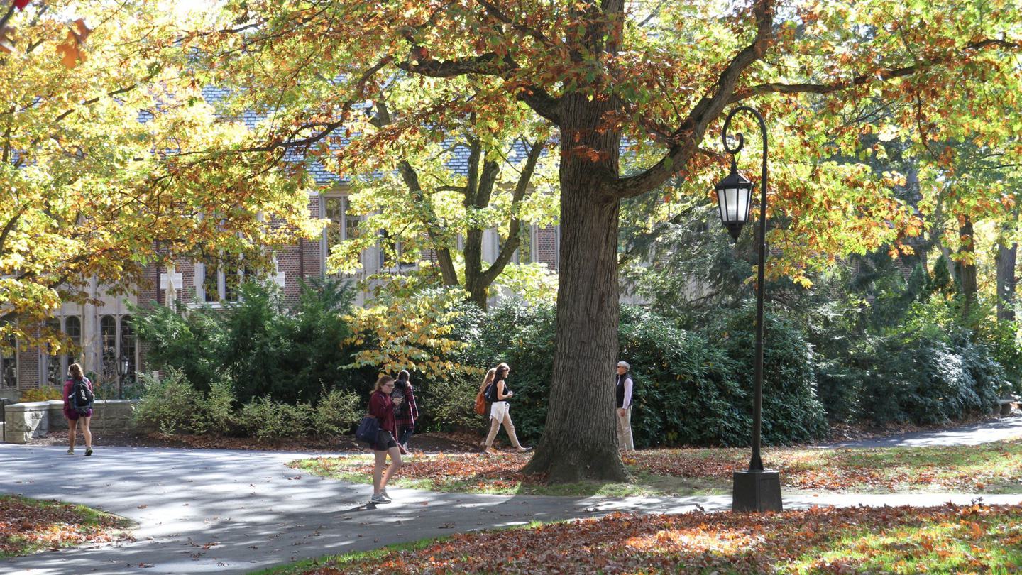 The main focus of the photo is a tree in the process of losing its leaves in the fall. There are multiple students walking the paved paths around the tree.