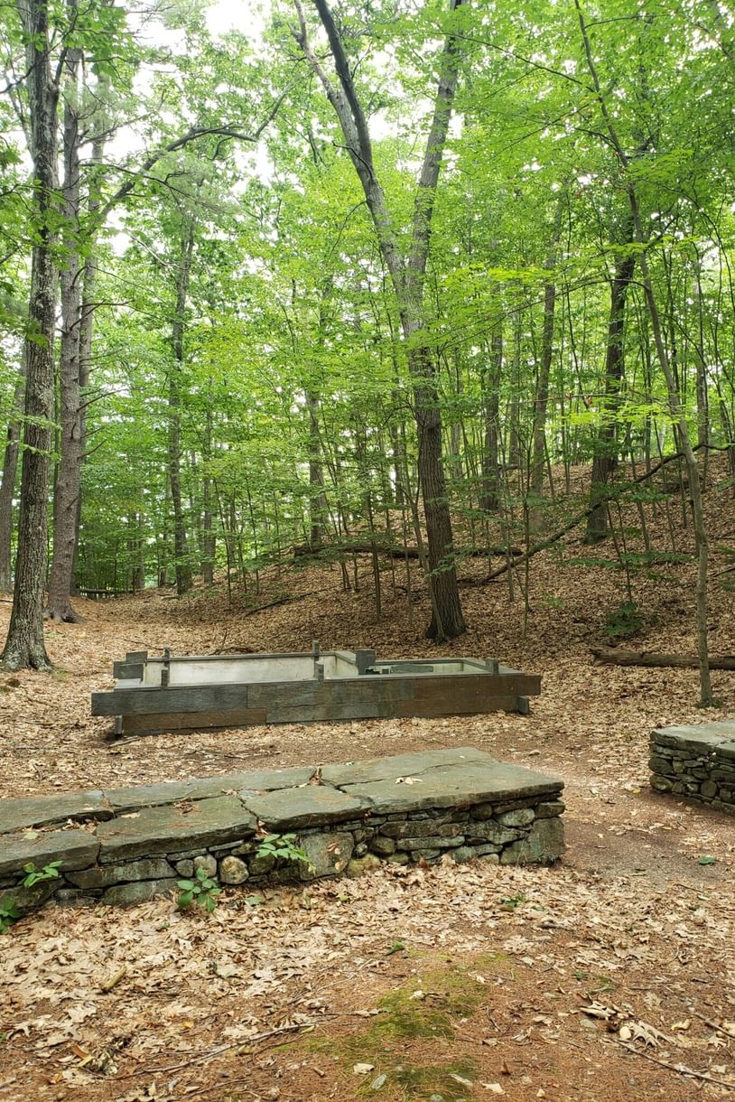 Low rock wall and the remnants of the foundation of a small building in the middle of the forest
