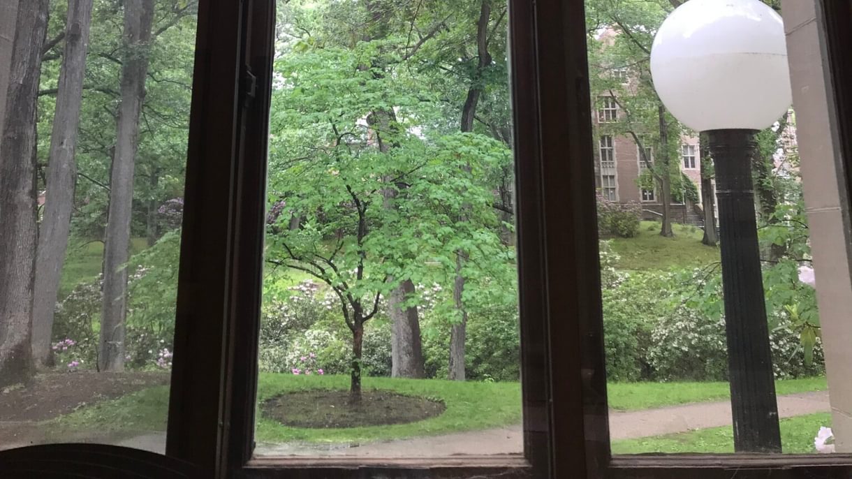 Looking through a window at trees, flowering bushes, and a brick building (Founders Hall)