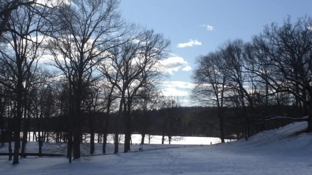 Winter scene with bare trees and snow cover in foreground of Lake Waban