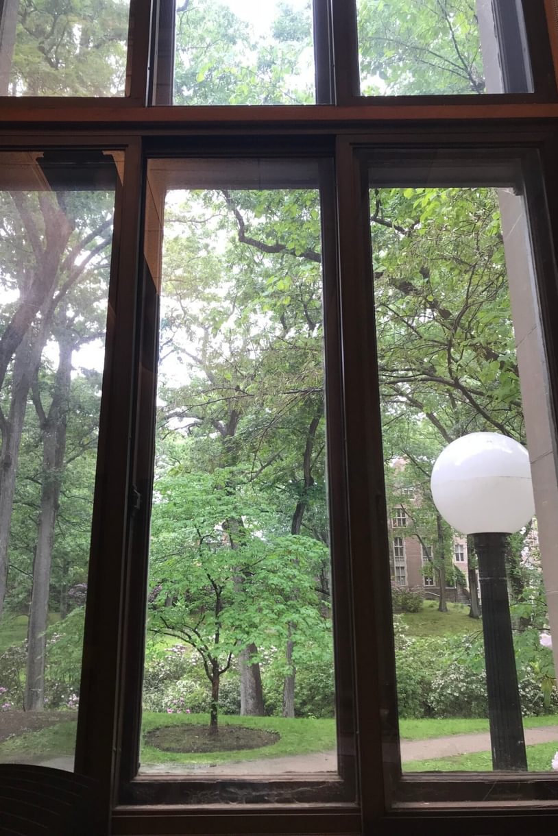Looking through a window at trees, flowering bushes, and a brick building (Founders Hall)