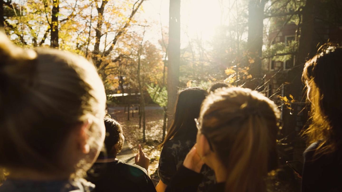 Autumn light shines on students as they walk down a path.
