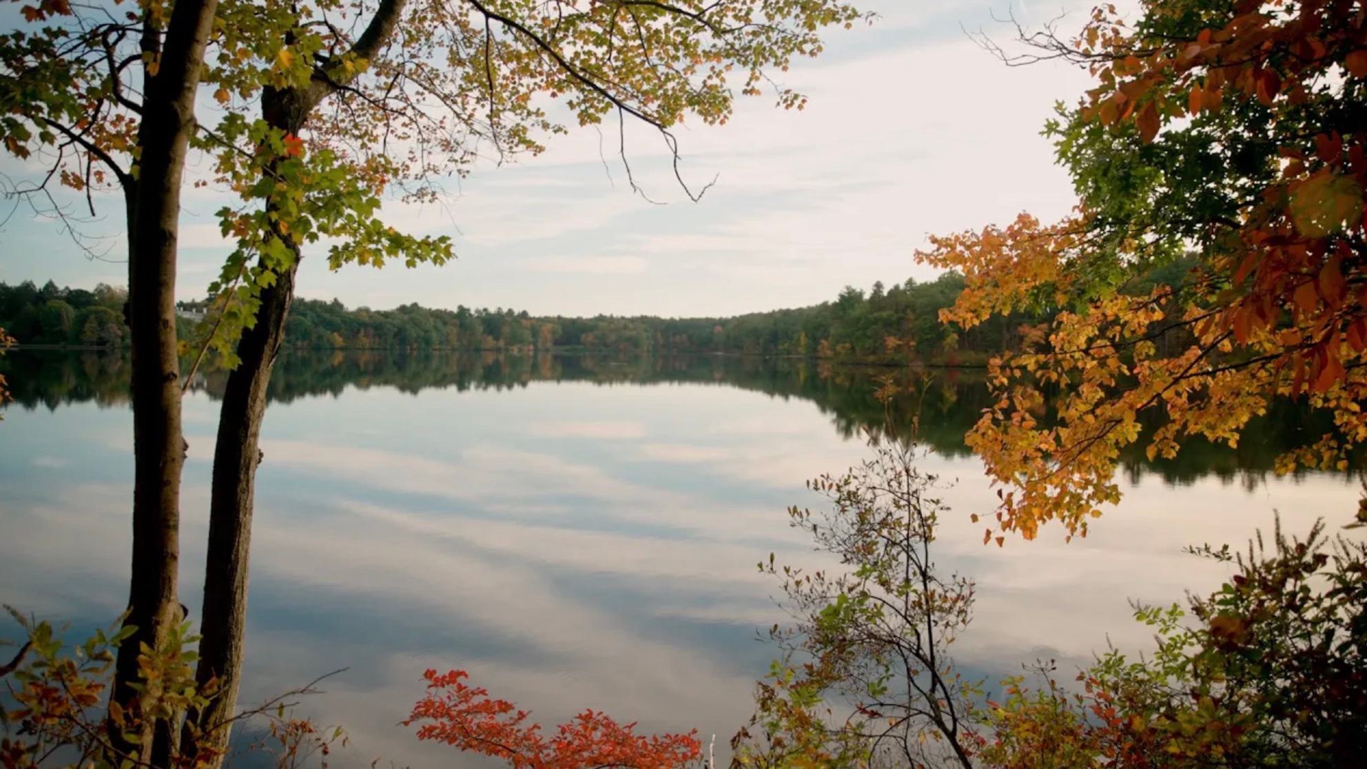Clouds reflect off Lake Waban in the fall