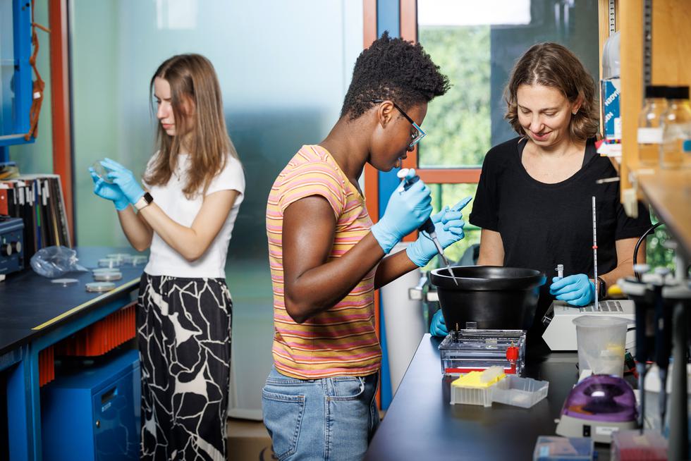A student examines petri dishes in the background while Professor Darling and another student work on pipetting into a gel in the foreground.