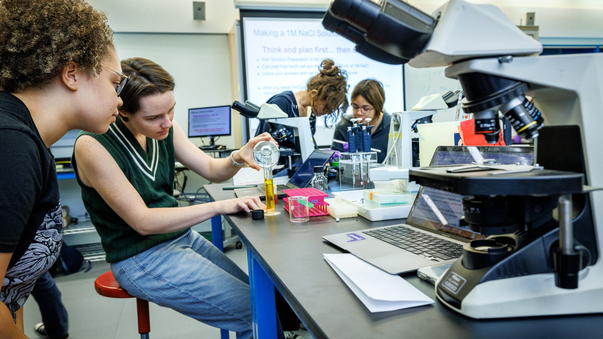 Students working together in a lab
