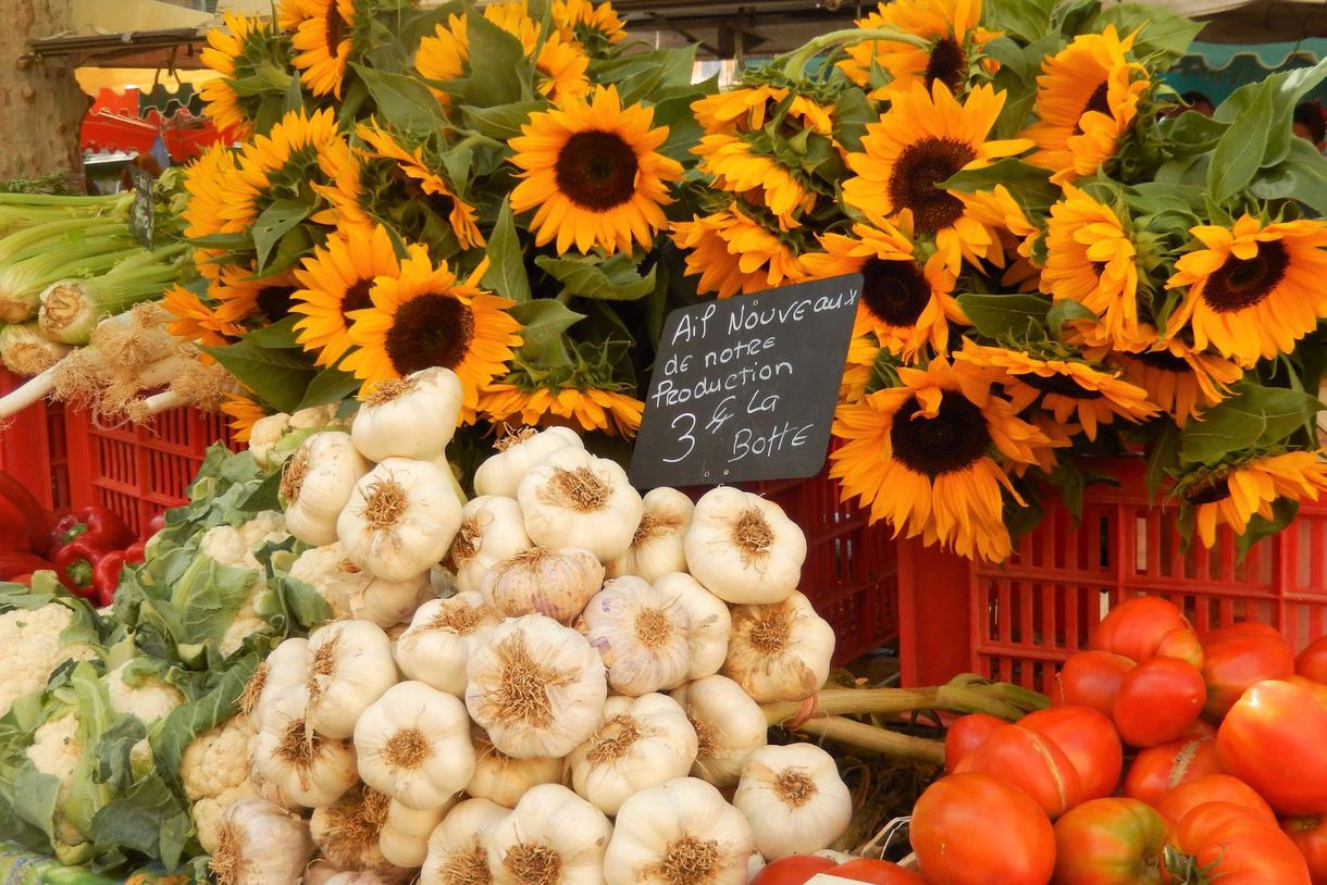 Sunflowers, bulbs of garlic, tomatoes, and a sign written in French