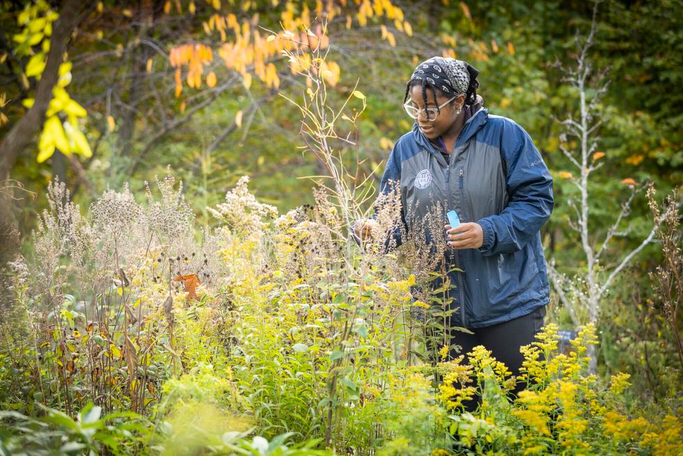 A student tends to plants in the edible ecosystem garden.