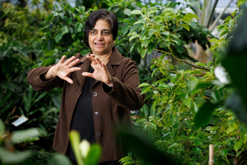 Banu Subramaniam gestures while speaking in a greenhouse.
