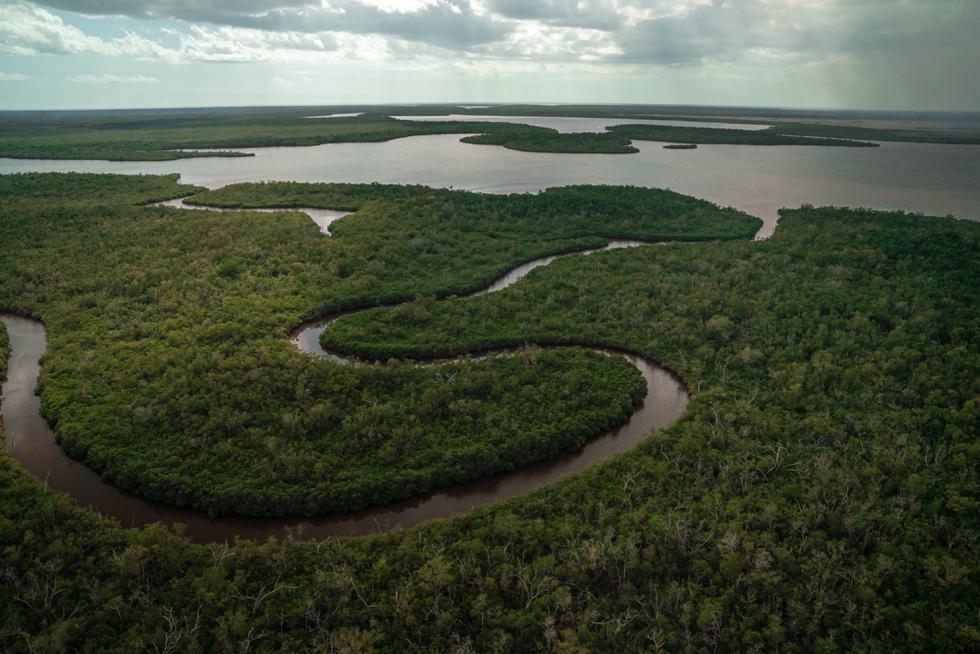 Aerial view of the Everglades with a winding river.