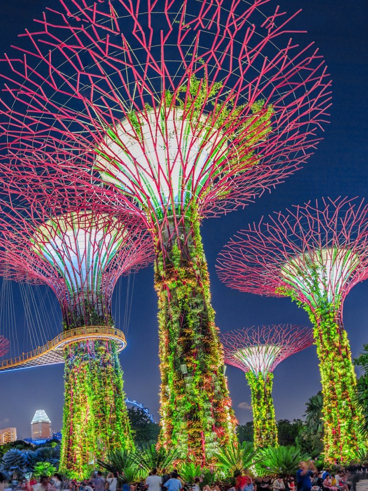 Multicolor, brightly lit "Supertree Grove" at Gardens by the Bay in Singapore
