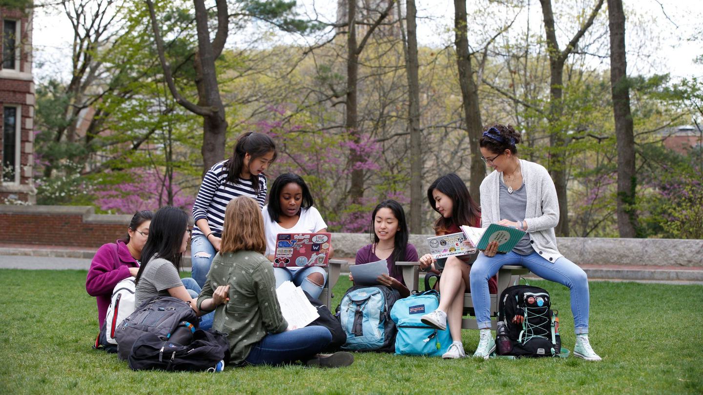 Group of students chatting while sitting on the grass.