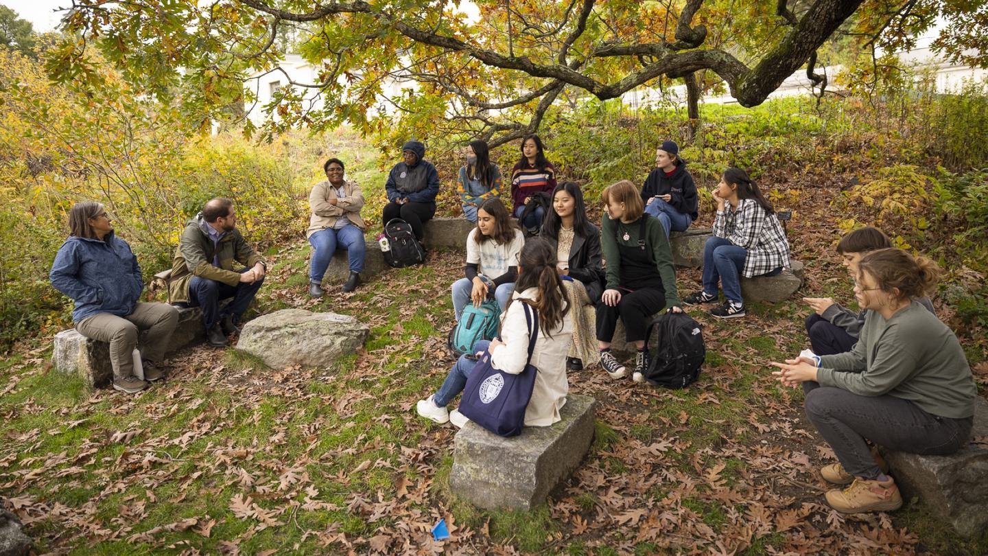 A group of students sits in a semi-circle on rocks. There are fall leaves on the ground surrounding them.