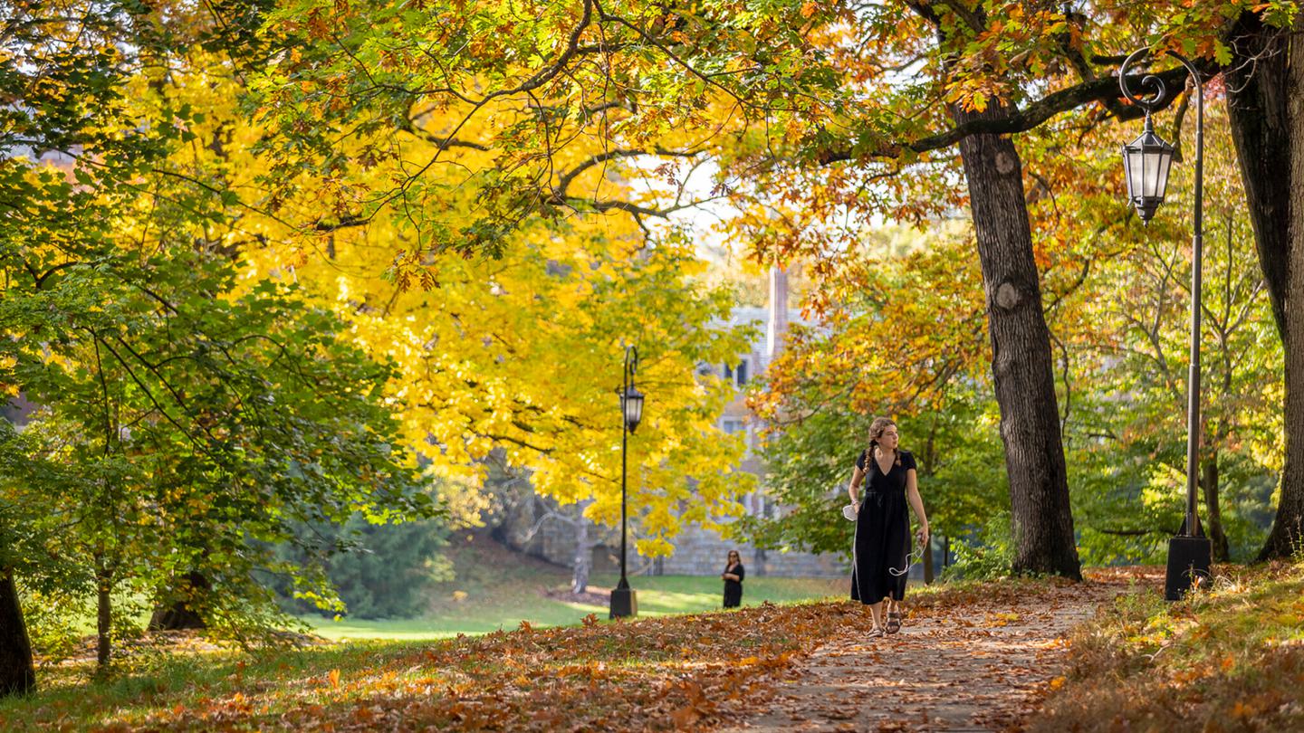 Student walking on a path with yellow leaves behind