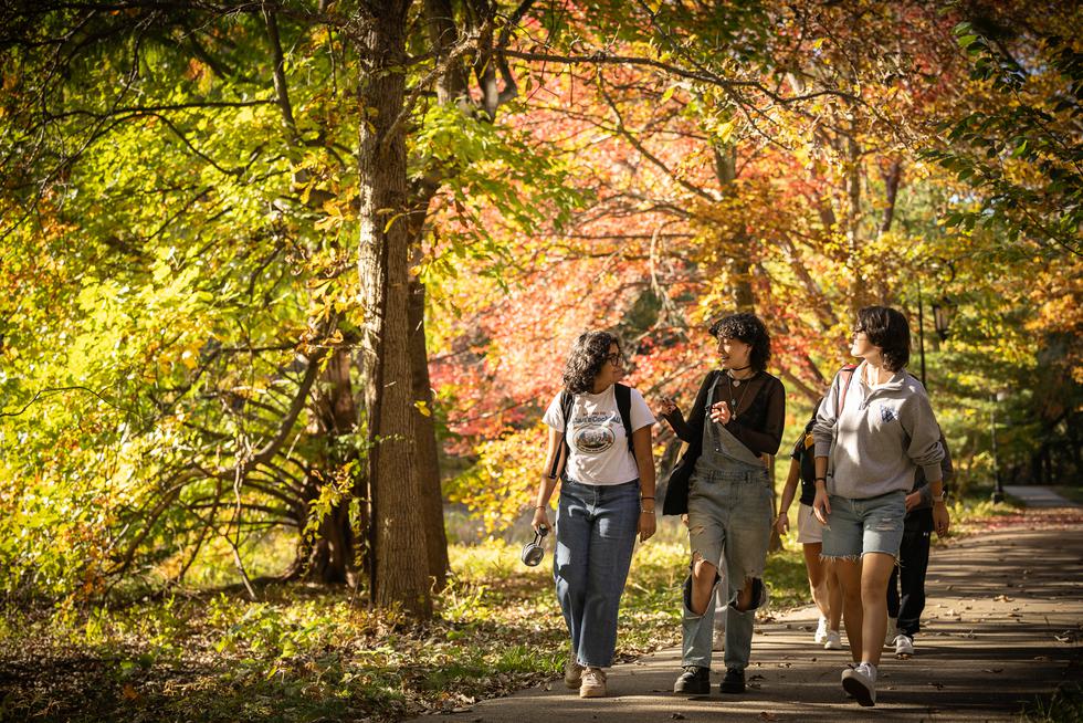 Students walking on a path with fall foliage
