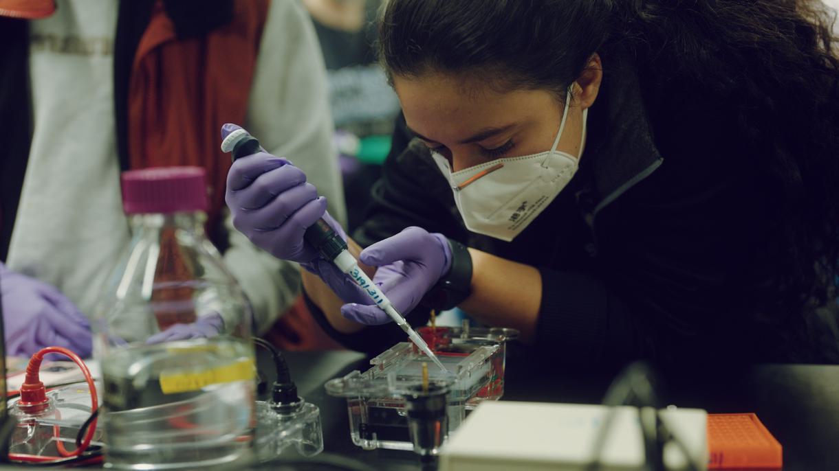 Student pipettes into a gel.