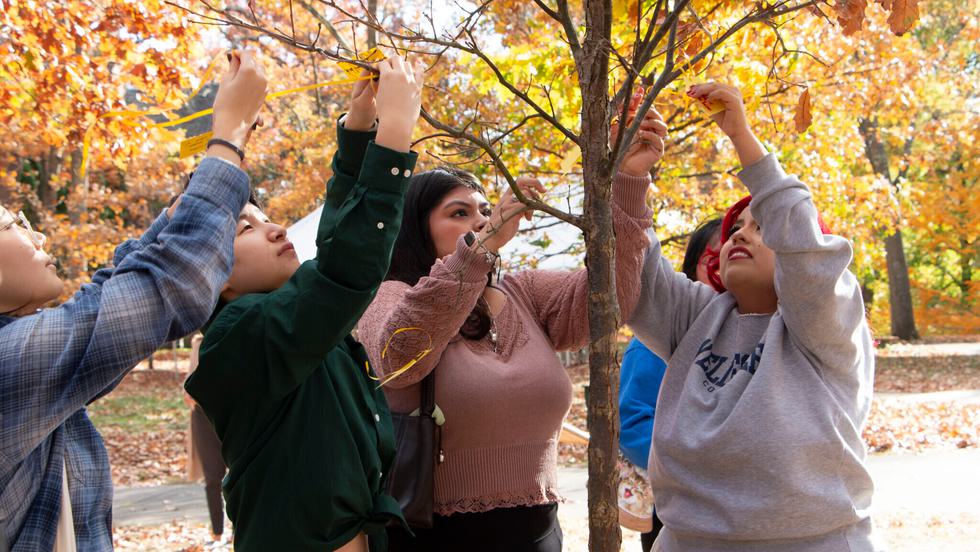 Four sophomores reaching up to the branches of a newly planted tree to hang notecards with their written wishes