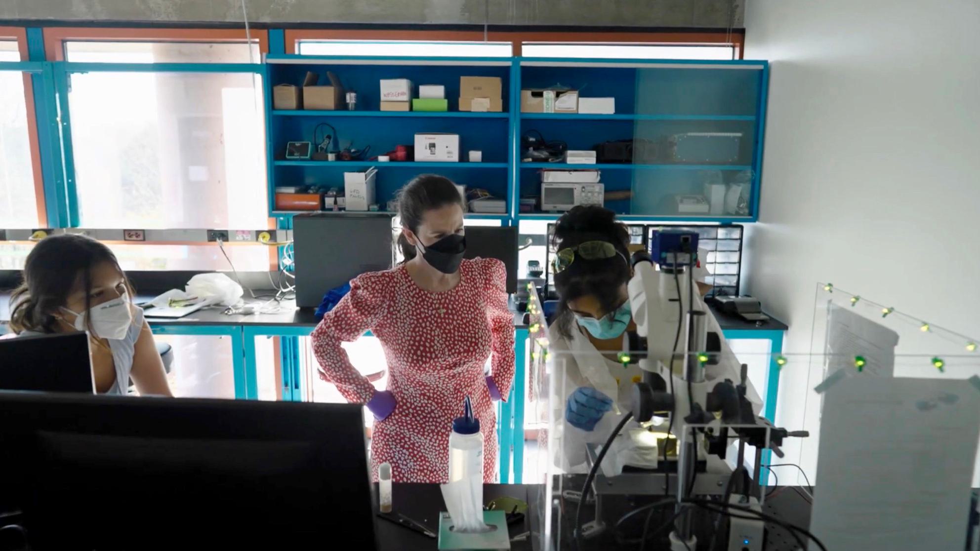 A professor and two students working in a lab