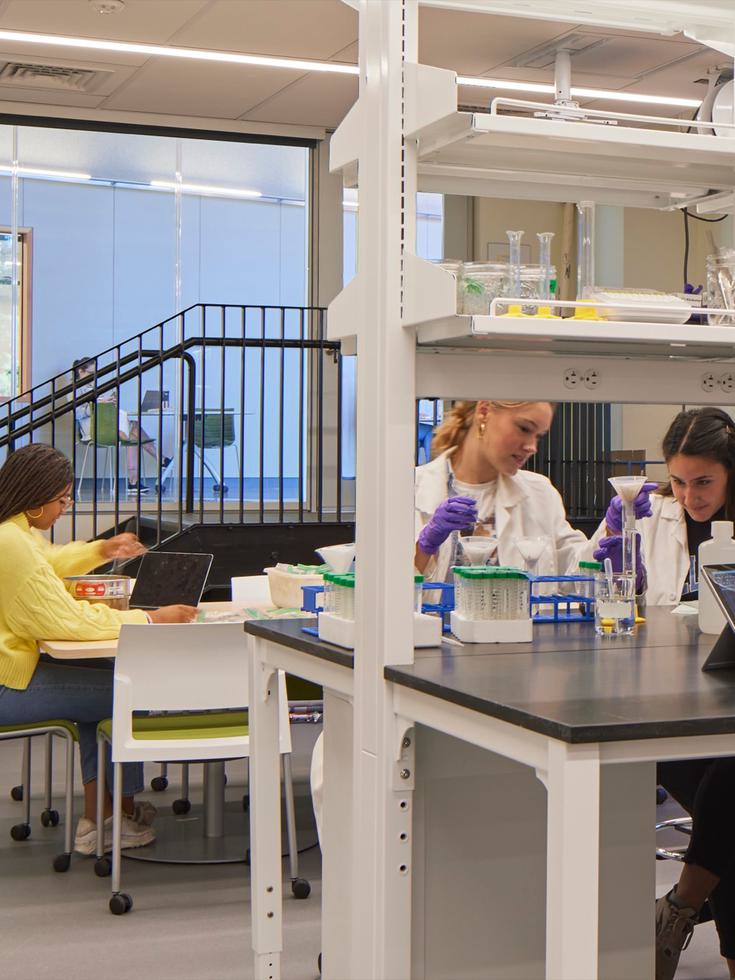 Students in a lab work on their experiment while others work on tables around them.