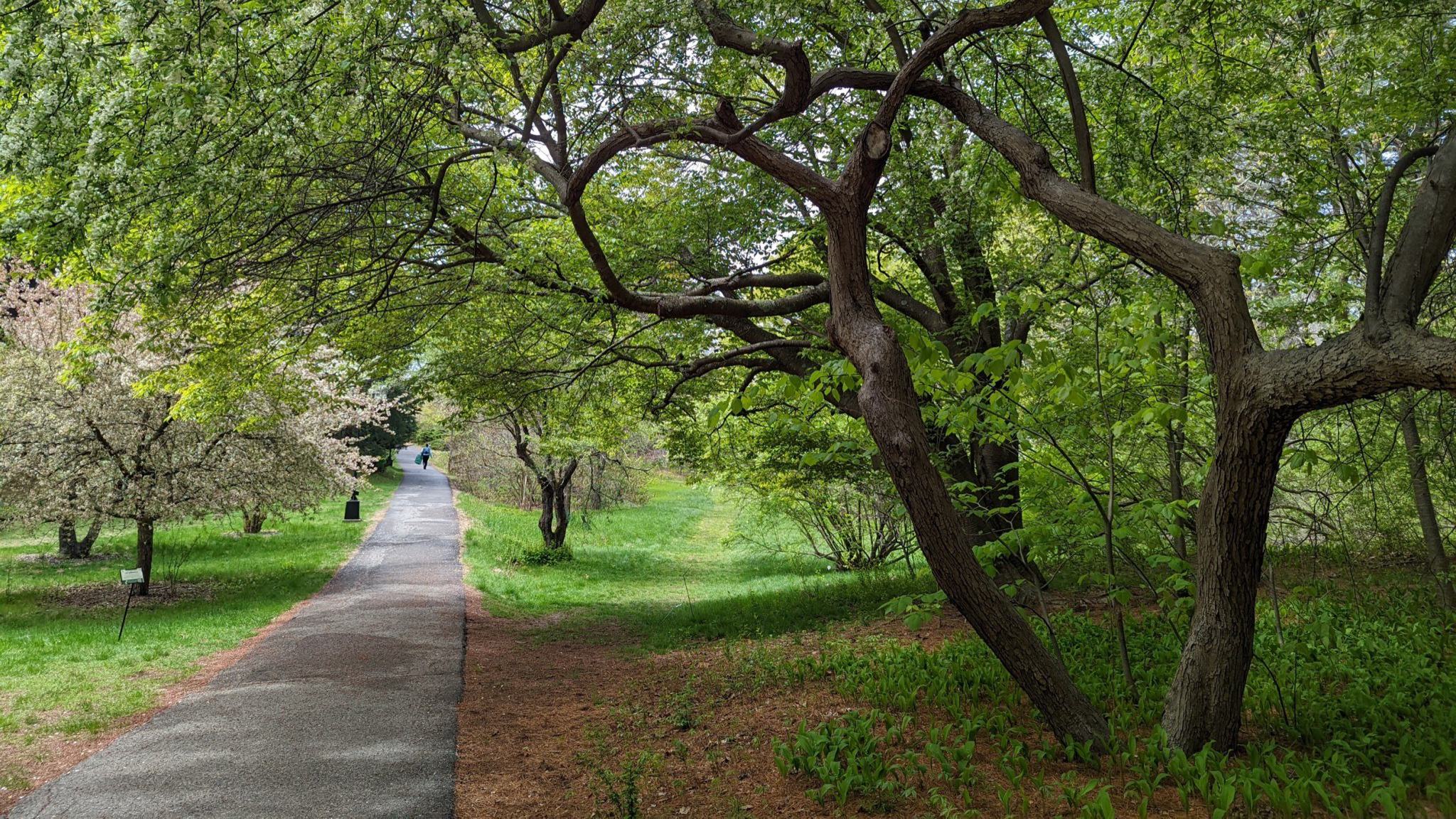 Main path into the outdoor gardens
