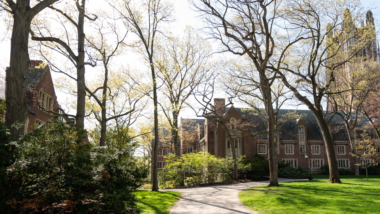 A Picture of Green Hall