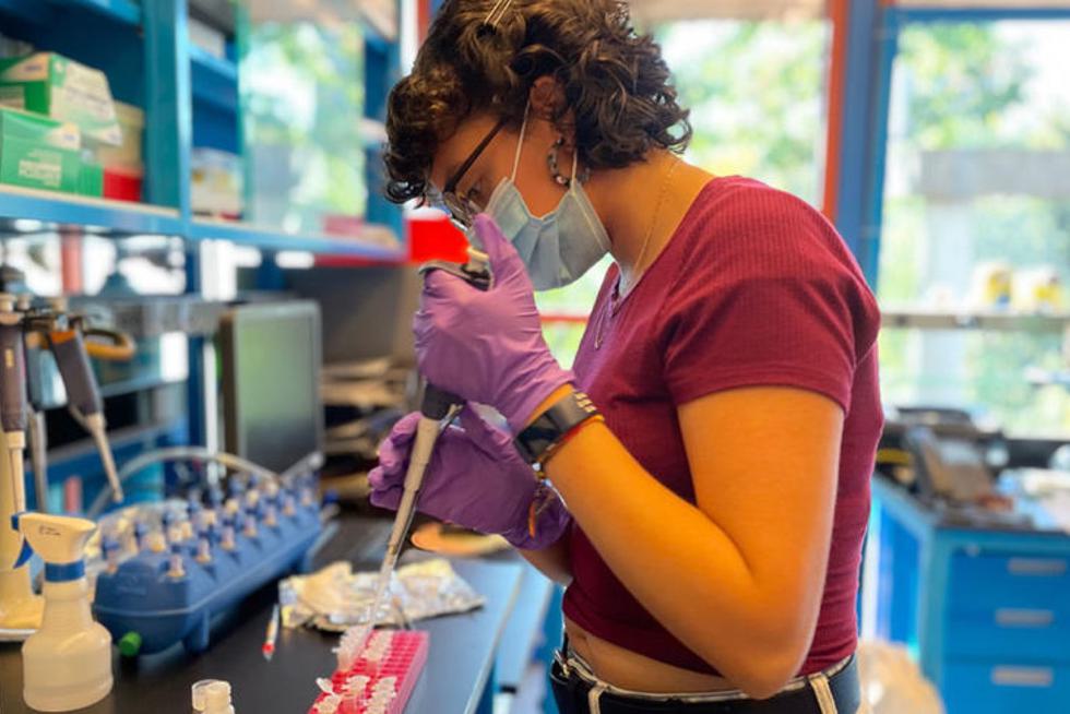 A student uses a pipette in a lab.