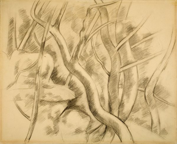 Twisted vines and branches rendered in graphite and black crayon on paper
