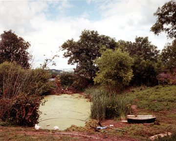 Jem Southam, Upton Pyne, July 1996. Chromogenic dye coupler print. (c) Jem Southam, courtesy of Charles Isaacs Photographs and Robert Mann Gallery.