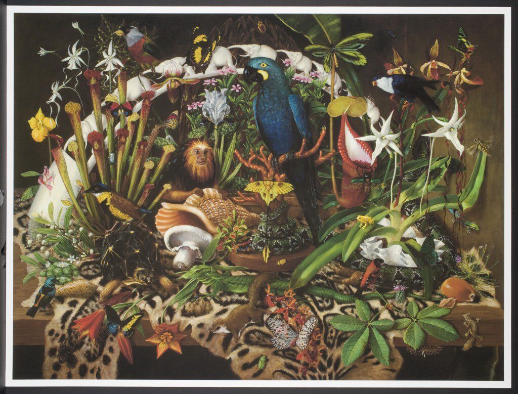 Isabella Kirkland, Trade from the portfolio Taxa, 2008, inkjet print, The Nancy Gray Sherrill, Class of 1954, Collection, 2010.42.4