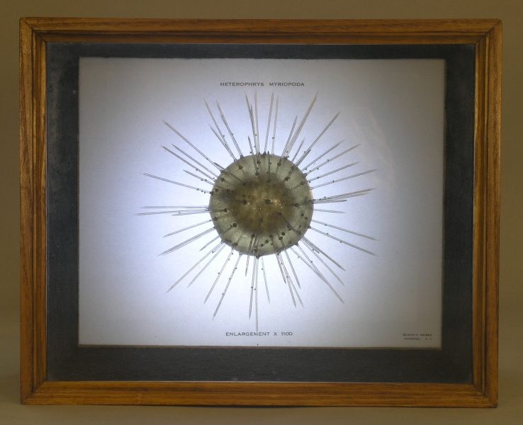 Wooden frame encasing an illustration of a