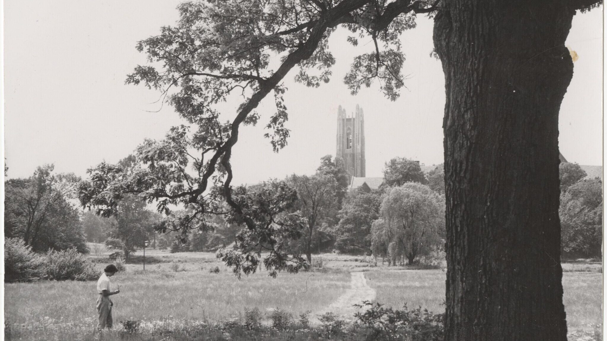 Black & white photo of woman standing at base of oak tree with grass, trees and Galen Stone Tower in background
