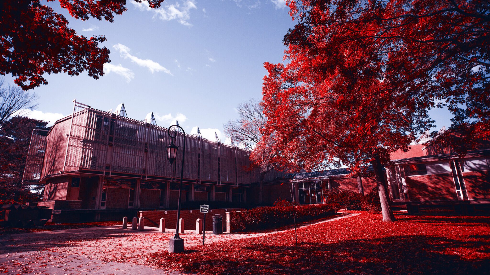 red/blue photo of modernist building with brise soleil and pyramidal skylights among autumn trees