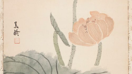 Painted peachy pink lotus flower cascades across the paper.