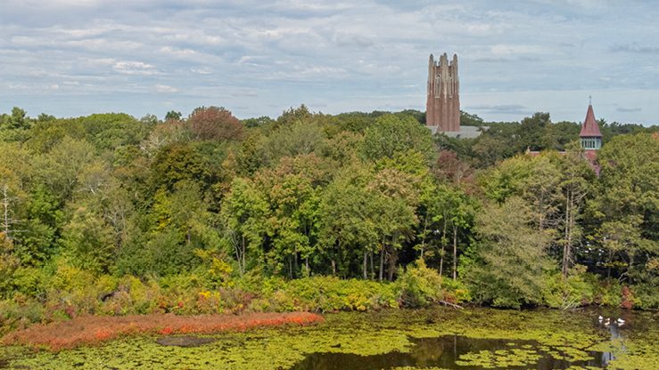 Galen Stone Tower as seen through the trees from the lake