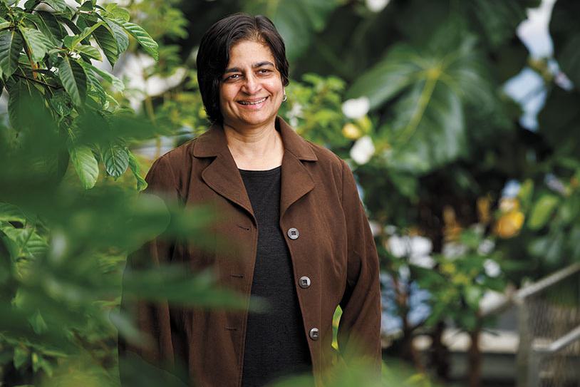 A photo portrait of Banu Subramaniam, Luella LaMer Professor of Women’s and Gender Studies