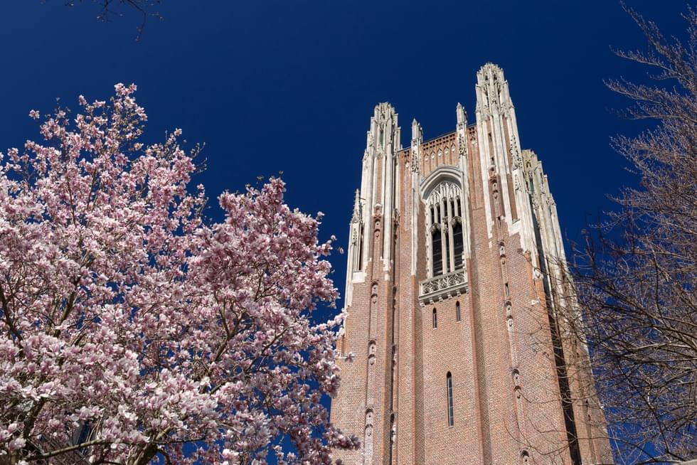Green Hall tower flanked by blooming magnolia tree