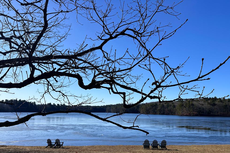 Trees limbs in the foreground with a frozen Lake Waban in the background. Four Adirondack chairs face the lalke.
