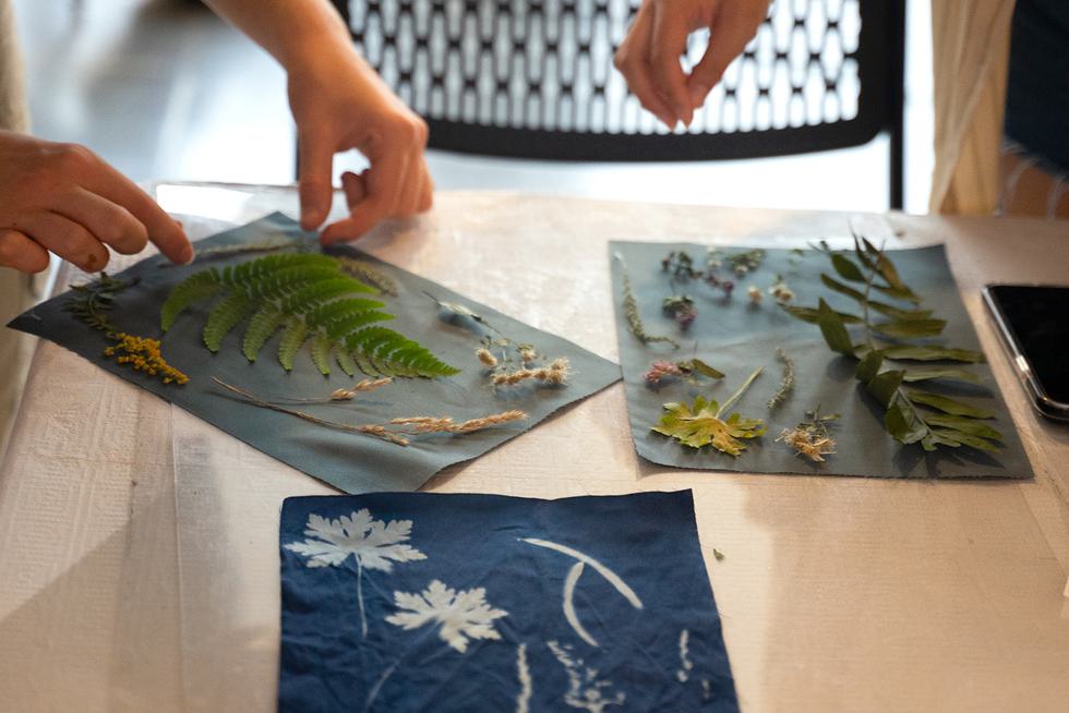 Students create cyanotype prints using flowers and plants.