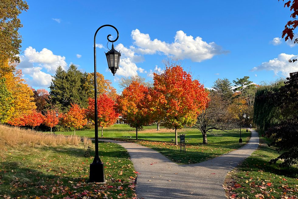 A row of trees with leaves changing to orange recedes into the horizon. In the foreground is a Wellesley lamp.