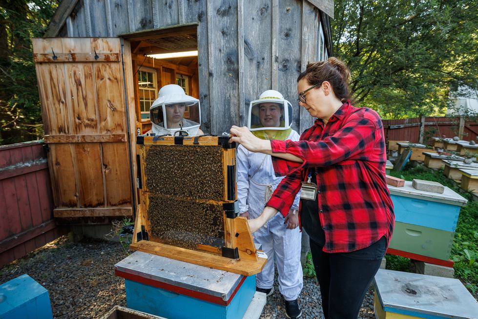 Two students and a professor look at a beehive.