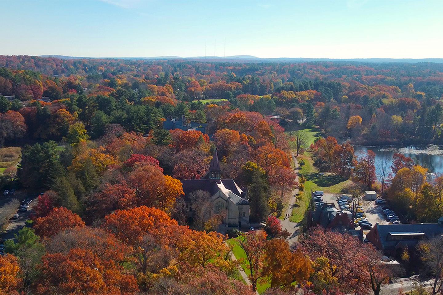 Drone photo of the fall leaves on campus