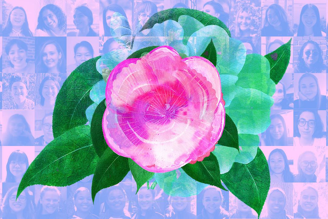 pink camellia flower over a collage of headshots