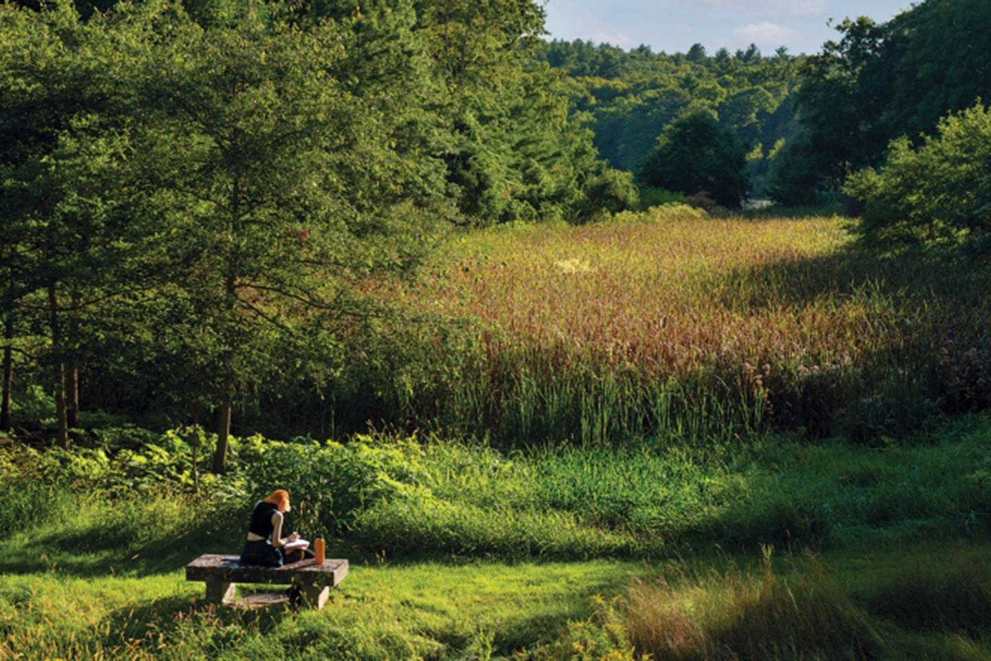 A photo showing Alumnae Valley with a student sitting on top of a picnic table, head bent toward the notebook in her lap.