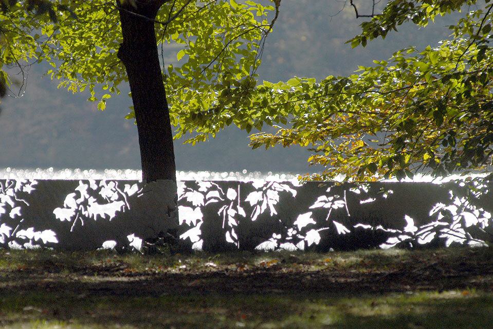 Untitled (Filigreed Steel Line for Wellesley College) by Robert Irwin