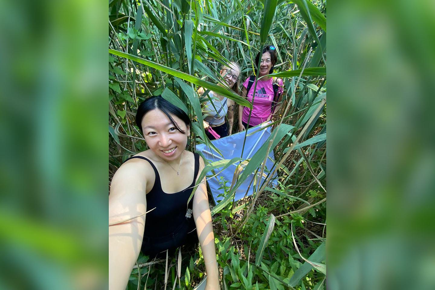 Two students and a professor pose for a photos in a stand of phragmites reeds.