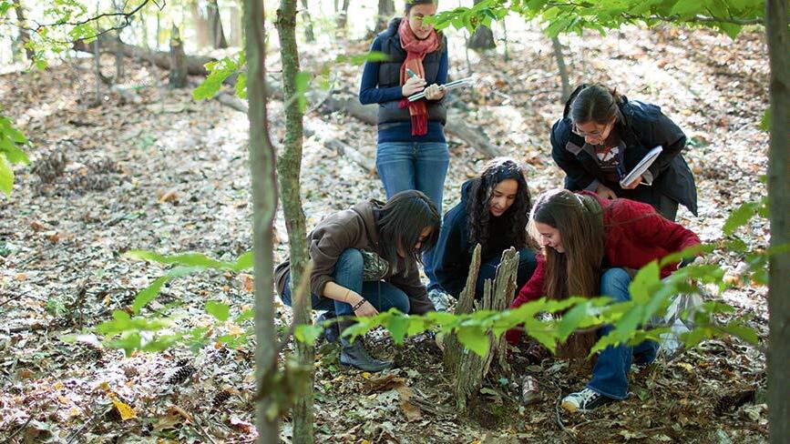 Students explore artifacts during and outside class for Adam Van Arsdale’s forensic anthropology class
