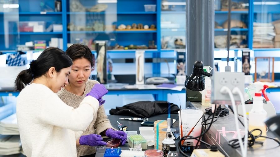 Two Wellesley College students work on a science experiment in a labratory